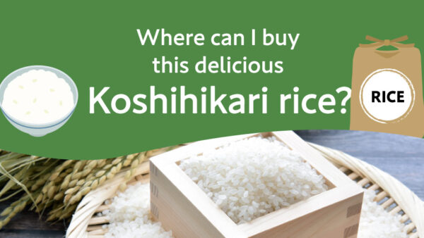 【KOSHIHIKARI】Where can I buy this delicious Koshihikari Rice ?