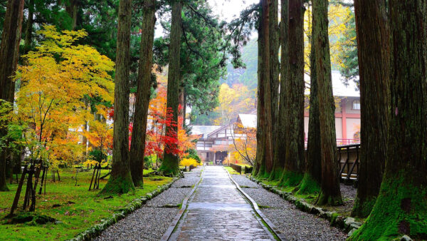 雲洞庵（うんとうあん）