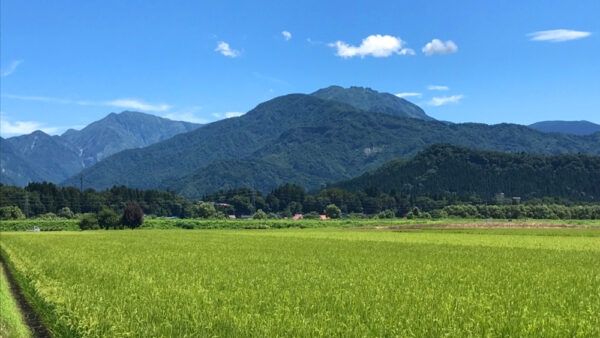 令和6年【ふるさと会員】募集のお知らせ<令和6年6月以降発送分>南魚沼市出身の方でも、旅行で来た方でも、どなたでもok!