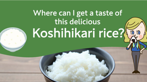 【KOSHIHIKARI】Where can I get a taste of this delicious Koshihikari Rice?  